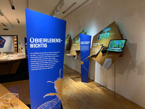 Respekt Insekt! Ausstellungsraum